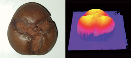 焼き菓子 ― 表面の凹凸の計測